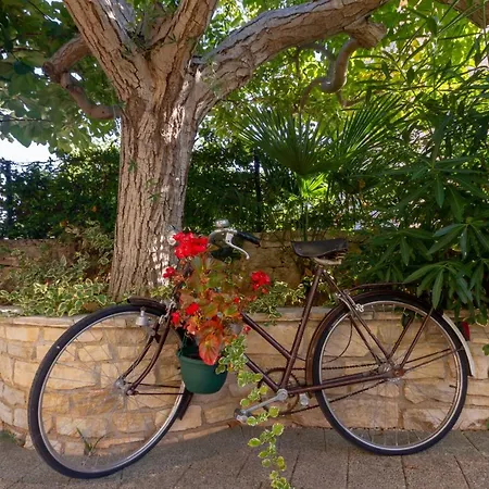 شقة Red Romantic 2-1 *